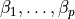\beta_1, \dots, \beta_p