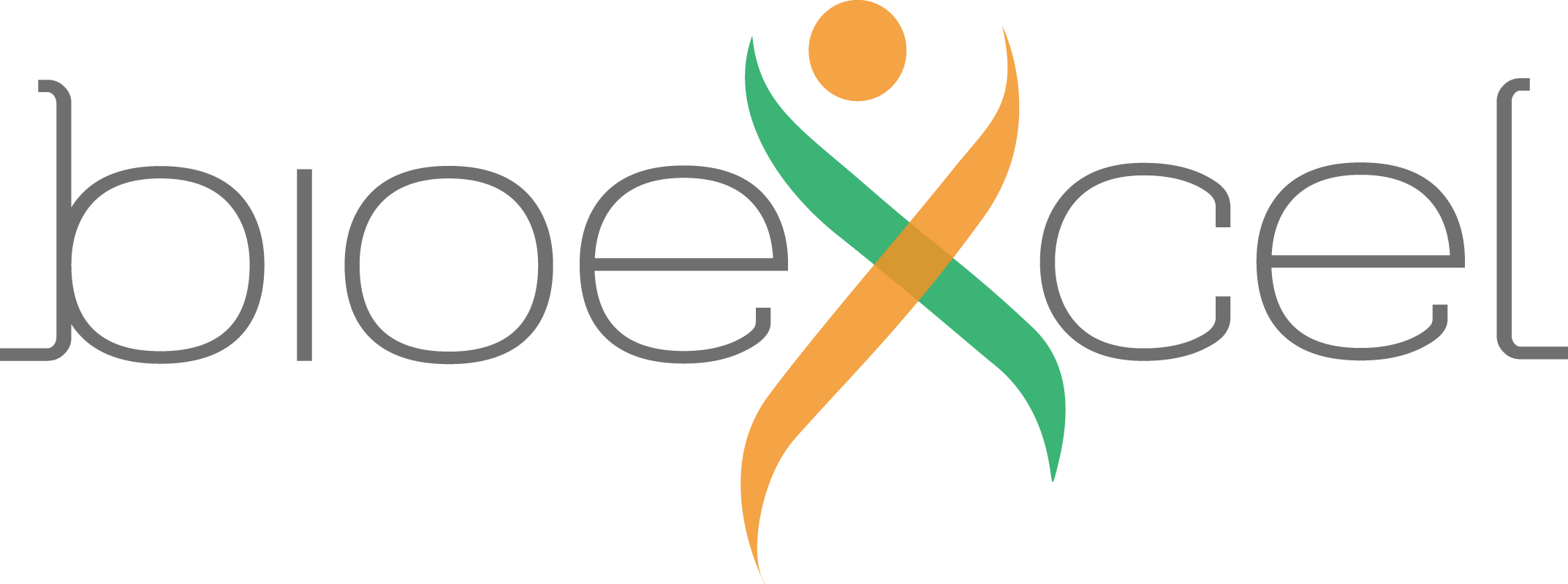 H2020 BioExcel Center of Excellence for Computational Biomolecular Research
