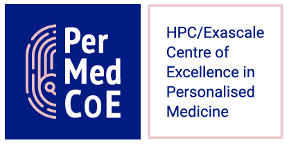 H2020 HPC/Exascale Centre of Excellence for Personalised Medicine in Europe